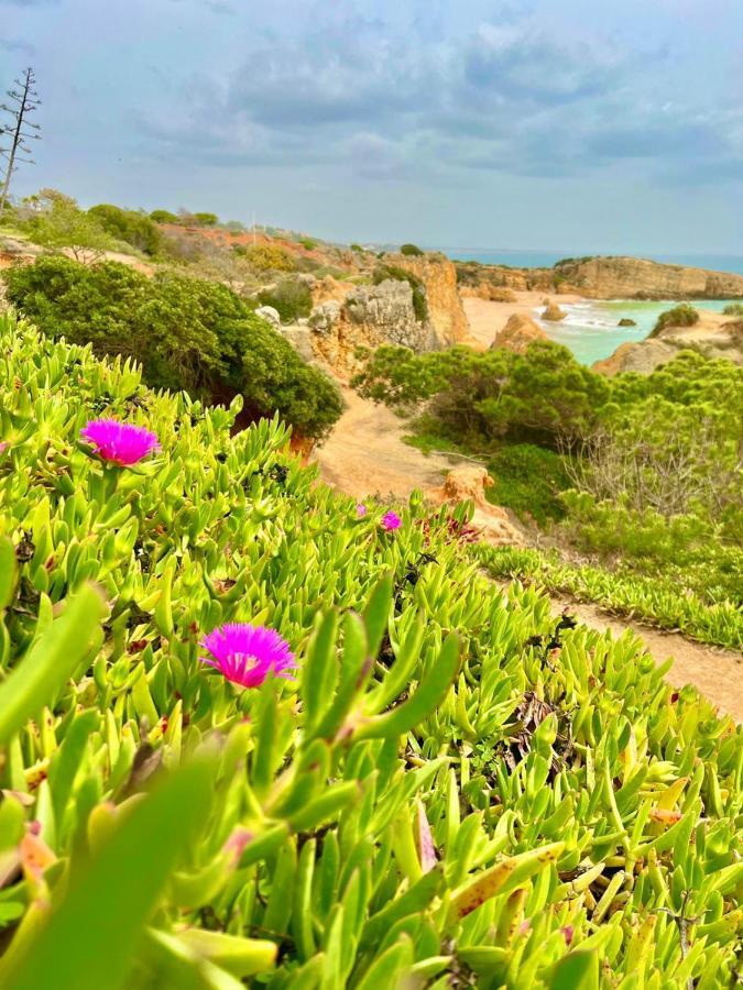 Marina Zen Apartment - Orada, Albufeira Buitenkant foto